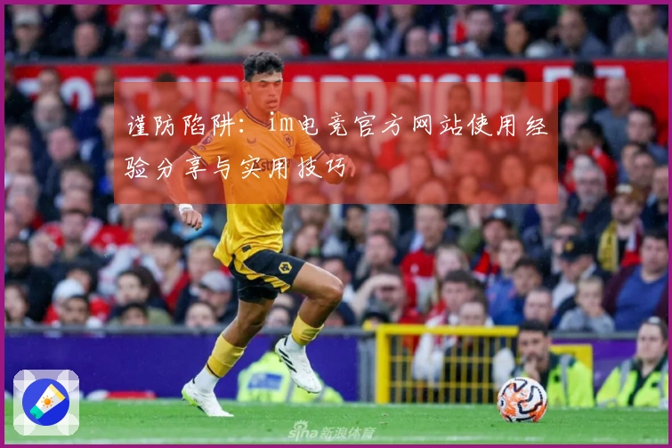谨防陷阱：im电竞官方网站使用经验分享与实用技巧